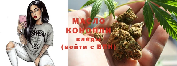 индика Елизово