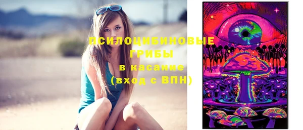 соль курить ск Гусь-Хрустальный