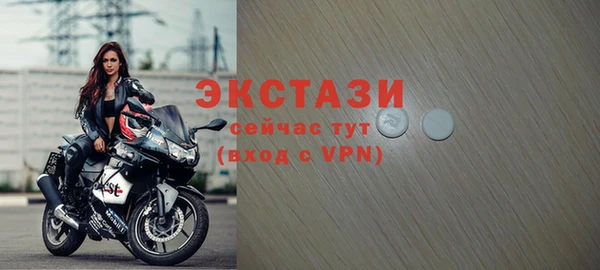 индика Елизово