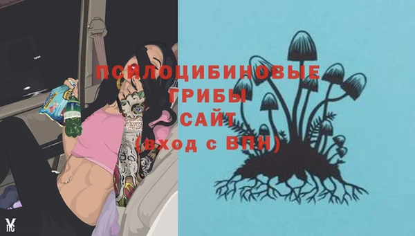 индика Елизово