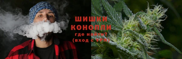 индика Елизово