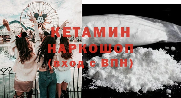 индика Елизово