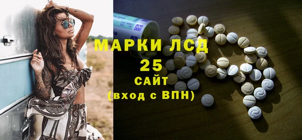 прущие грибы Балашиха