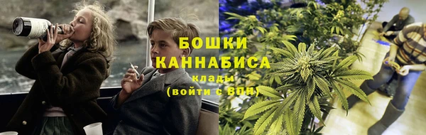 дмт Дмитриев