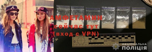 индика Елизово