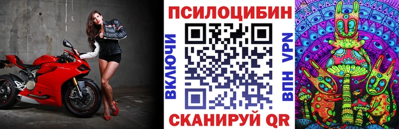 магазин наркотиков Лермонтов Псилоцибиновые грибы Psilocybe